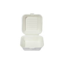 600ML Biodegradable Disposable Food Container Sugarcane Bagasse Packing Box Eco friendly Tableware Take Away Container